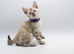 Stunning TICA Registered Bengal Kittens