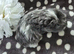 6 Boars available