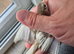Stunning High-Quality Raza Canary Birds