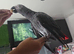 Beautiful tame african grey