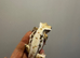 3 crested geckos in large Exo terra