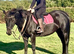 14.2 Fun Mare
