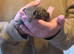 Captive Farmed (2024) Male Roughneck