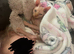 Male Sphynx kitten