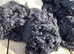 Kennel club toy poodles