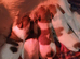 Jack russel pups 2 boys 2 girls