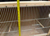 Breeding cage for sale
