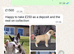 English bull terrier