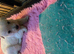 Gorgeous Rough Coated Jack Russell Puppies