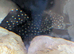 Rare L240 Vampire pleco