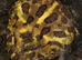 Pac-Man (Horned) Frog babies cb26