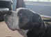 Oldie english bulldog