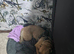 Dog for rehome