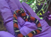 Tri Colour Hognose Snakes