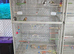 Xl very tall bird cage for sale