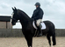 Super safe maxi cob