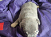 X1 male puppy and x1 female now gone. 6so only 4 left rare breed KC registered micro French bulldogs