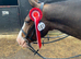 Mother/ daughter share all rounder