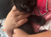 Ragamese cross kittens ready now