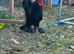 Pair of black booted bantam