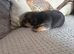 For sale