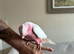 Lutino Galah cockatoo female