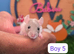 Baby Dwarf Rat Boys