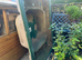 Fish pond for sale