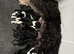 Beautiful unique phantom/parti/tri coloured labroodles