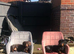 Dachshund Duo Talulah and Theo must go together