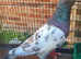 Lovely molaman cock