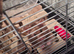 2 x male syrian hamsters