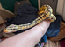 Royal pythons