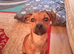 Jack Russell