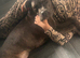 Beautiful Female Cane Corso x
