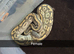Boas and ball pythons