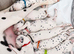 Beautiful Dalmatian puppies