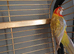 1 pair of rosellas