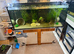 240l tank and stand