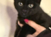 Russian black x boy 3 mnts bery affectionate