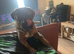 Mylo
