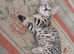 Gorgeous Toyger Tabbies for Sale