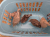 5 Females and 1 male coturnix Quail