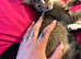 2 BABIES NEEDING URGENT HOMES