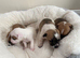 Jackrussle ready to leave