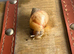 Giant African Land Snails (2 for £5)