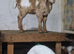 Golden gurnsey billy and boer cross billy