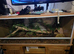 Sunglow Boa constrictor Imperator