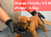 Boerboel ( Bella) gave birth to 2 boys and 4 female. Now 3 female left