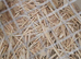 3 days old quails unsex